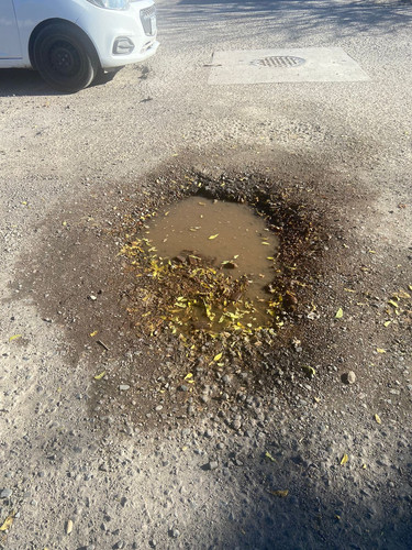 BACHE 122.jpg