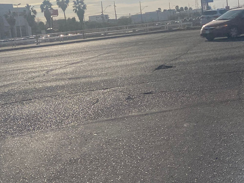 BACHE 127.jpg