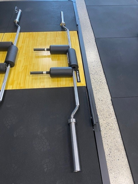 Squat Barbell Olympic.2.jpg