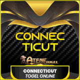 CONNECTICUT.gif