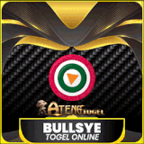 BULLSYE.gif