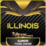 ILLINOIS.gif