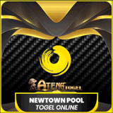 NEWTOWN POOL.gif