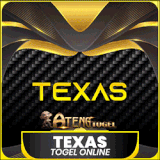 TEXAS.gif