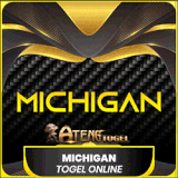 MICHIGAN.gif