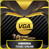 VIRGINIA.gif