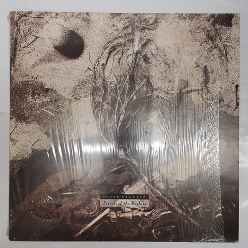 IMG 20230310 163242.jpg