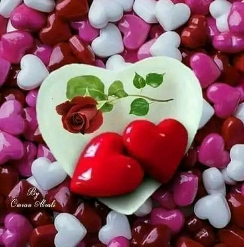 FB IMG 16723713710441265.jpg
