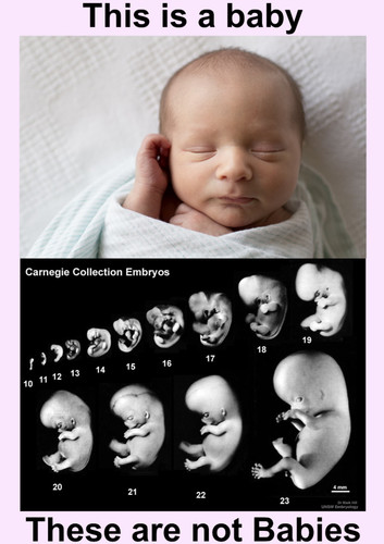 Baby not Baby.jpg