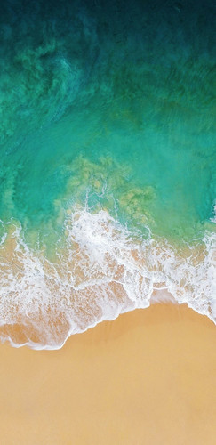 WallCandy 7384.jpg