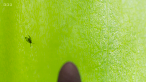 3737fdd23f3c.png