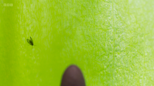 9557753f7053.png