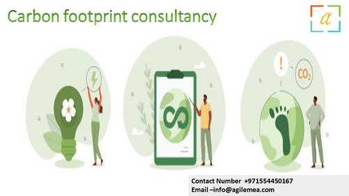 Carbon footprint consultancy .4.jpg