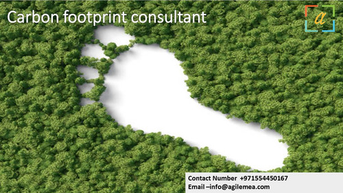 Carbon footprint consultant .11.jpg