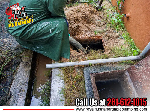 Royal Flush Affordable Plumbing.jpg