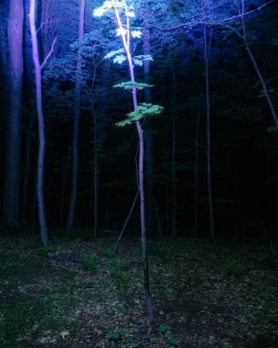 tumblr f3a0695d0581fefbc6d26d23ef8acc39 a0076140 1280.jpg
