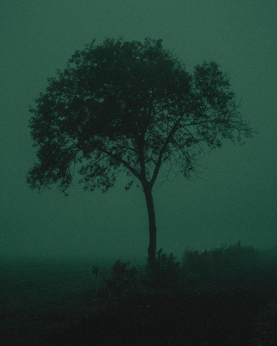 tumblr f87a1ec9db10210e85f7e811755466d5 a3367f68 1280.jpg