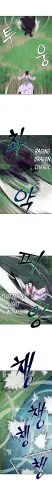 8f17394a4e28.webp