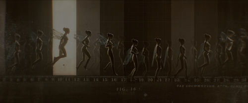 21afb38014c7.png