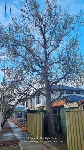 310435778 794052125336318 5159859358519483452 n.jpg