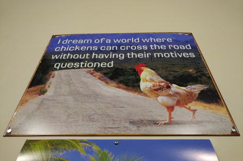 IMG 20230309 1654034.jpg