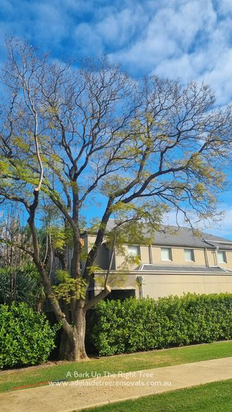 316116767 831520581589472 8750052220544112952 n.jpg