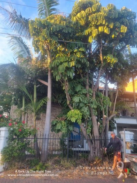 296307441 5060954517348853 7027289707288931763 n.jpg