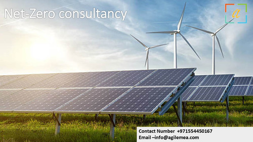 Net Zero Consultancy.jpg