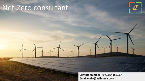 Net Zero consultant.jpg