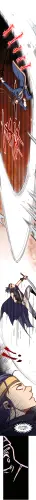 d9f2d498b888.webp