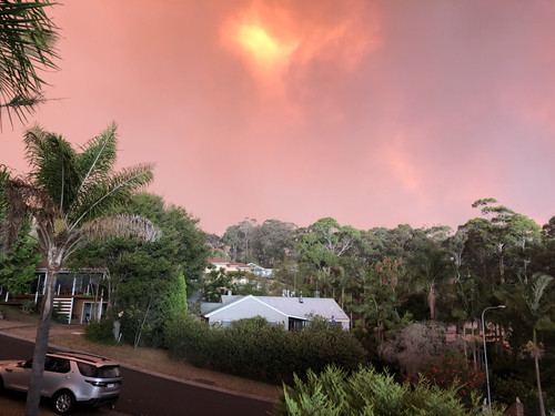 369B3A5A 31C0 496C 85A0 11CDBF9B6116.jpg