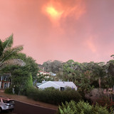 369B3A5A 31C0 496C 85A0 11CDBF9B6116