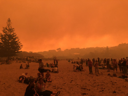 C4B7A813 1845 489D 8508 045EEC1CDC61.jpg