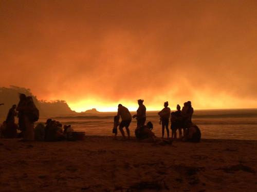 6E47C1AD 1CFE 4CCD A83C 96C26E036E03.jpg