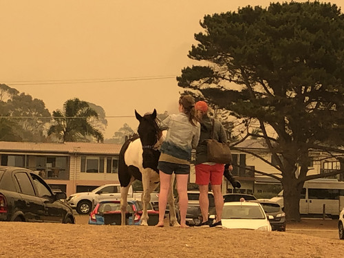 1B86CA97 6BC0 4443 9338 9E85DDB0FDD0.jpg