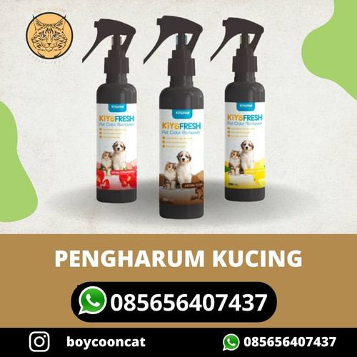 Pengharum kucing.jpg