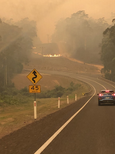 255F6C65 1ED2 4F94 ACE7 F78599C38F38.jpg