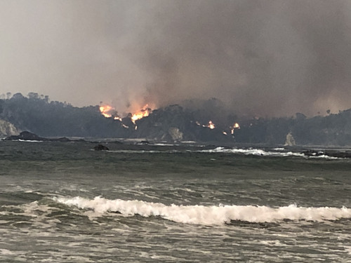 BE306AA5 0CC5 4472 9384 9D8672C5104E.jpg