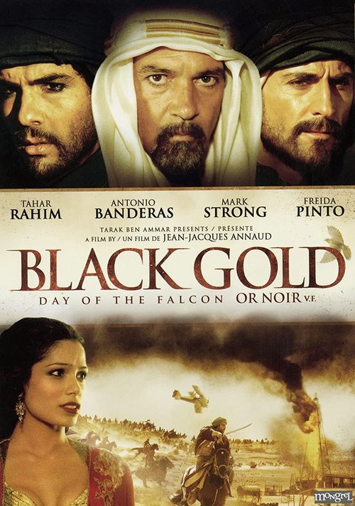Czarne złoto / Black Gold (2011) PL.1080p.BDRip.x264-wasik / Lektor PL