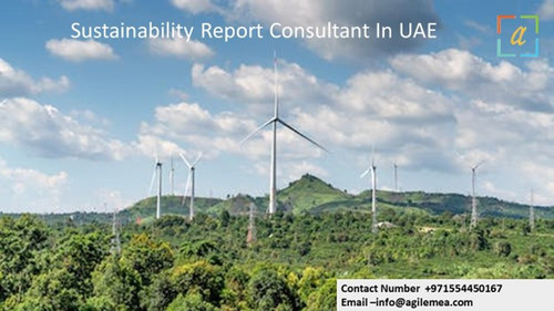 Sustainability Report Consultant In UAE.jpg