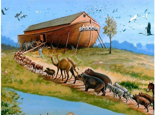 IMG 20230111 WA0023.jpg