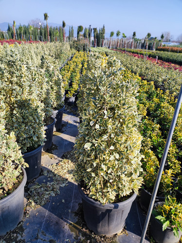 IMG ٢٠٢٣٠١٠٧ ١٥١٦٢٢.jpg