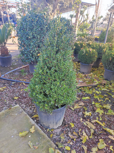 IMG ٢٠٢٣٠١٠٧ ١٥٢٣٠٣.jpg