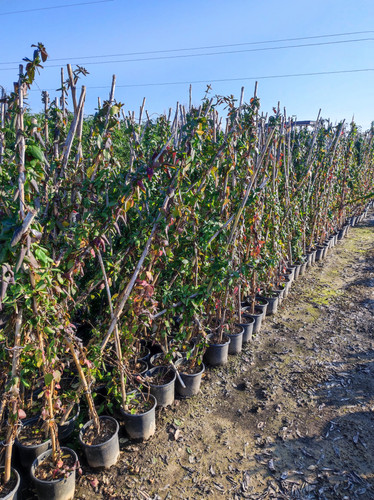 IMG ٢٠٢٣٠١٠٧ ١٥٥٨٣٣.jpg