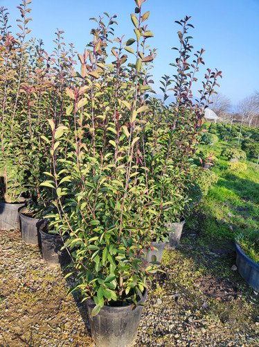 IMG ٢٠٢٣٠١٠٧ ١٦٢٣١٠.jpg