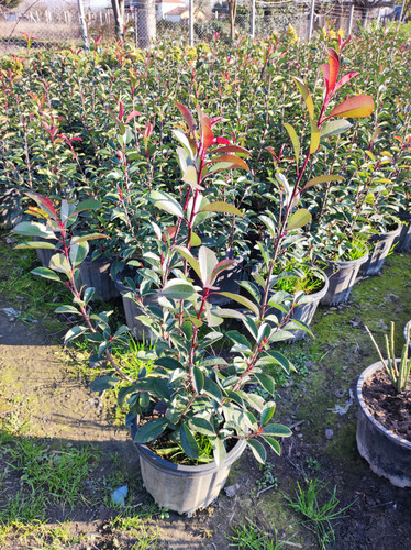 IMG ٢٠٢٣٠١٠٧ ١٦٠٠٢١.jpg