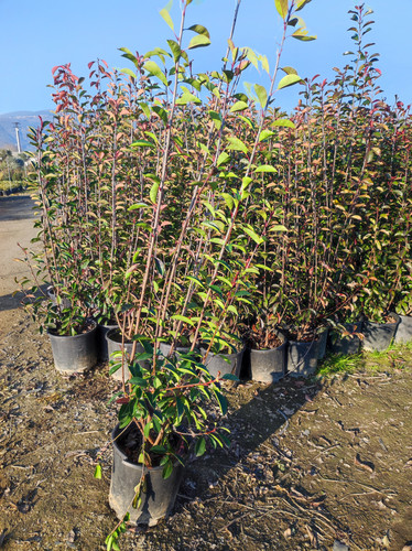 IMG ٢٠٢٣٠١٠٧ ١٦٢٤٥٦.jpg