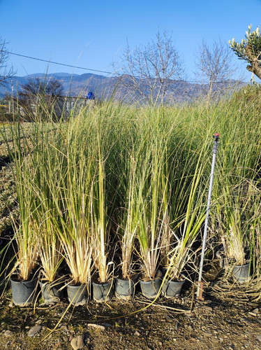 IMG ٢٠٢٣٠١٠٧ ١٦١١٢٤.jpg