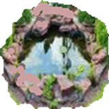 pond