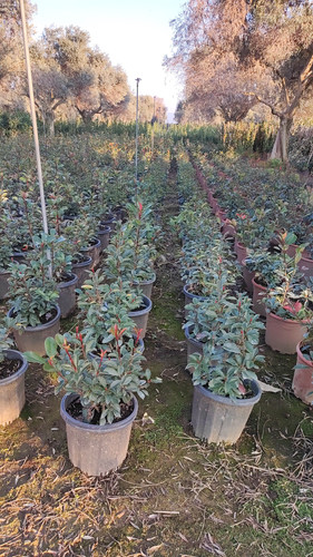 IMG 20230107 WA0028.jpg